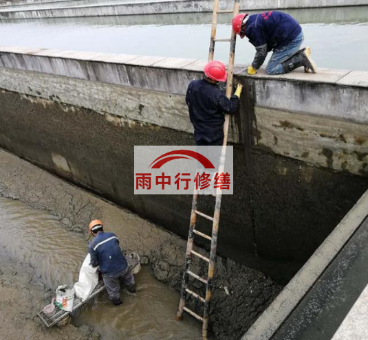 东丽污水池变形缝堵漏
