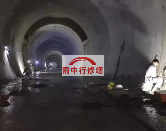 东丽隧道堵漏方案（技术篇）